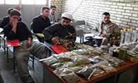 برگزاري نخستين دوره آموزشي كشت گياهان دارويي در مركز پيرانشهر 