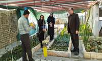 بام سبز نخبه مهارتی